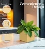 Beige German Polymer Square Planter Cubo 6 Inch