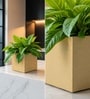 Beige German Polymer Square Planter Cubo 6 Inch