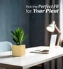 Beige German Polymer Square Planter Cubo 6 Inch
