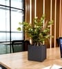 Grey German Polymer Square Planter Cubo 6 Inch