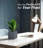 Grey German Polymer Square Planter Cubo 6 Inch