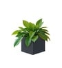 Grey German Polymer Square Planter Cubo 6 Inch