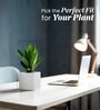 Marble White German Polymer Square Planter Cubo 6 Inch