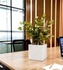 Marble White German Polymer Square Planter Cubo 6 Inch