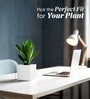 White German Polymer Square Planter Cubo 6 Inch
