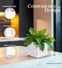 White German Polymer Square Planter Cubo 6 Inch