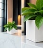 White German Polymer Square Planter Cubo 6 Inch