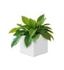 White German Polymer Square Planter Cubo 6 Inch
