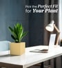 Beige German Polymer Square Planter Cubo 8 Inch