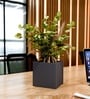 Grey German Polymer Square Planter Cubo 8 Inch