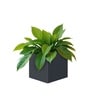 Grey German Polymer Square Planter Cubo 8 Inch