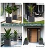 Grey German Polymer Square Planter Cubo 8 Inch