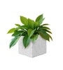 Marble White German Polymer Square Planter Cubo 8 Inch