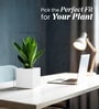 White German Polymer Square Planter Cubo 8 Inch
