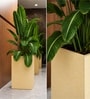 Beige German Polymer Square Planter Cubo Tall 18 Inch