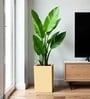 Beige German Polymer Square Planter Cubo Tall 18 Inch