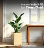 Beige German Polymer Square Planter Cubo Tall 18 Inch