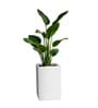 Marble White German Polymer Square Planter Cubo Tall 18 Inch