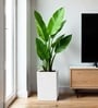 Marble White German Polymer Square Planter Cubo Tall 18 Inch