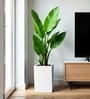White German Polymer Square Planter Cubo Tall 18 Inch