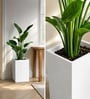White German Polymer Square Planter Cubo Tall 18 Inch