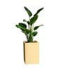 Beige German Polymer Square Planter Cubo Tall 24 Inch