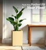 Beige German Polymer Square Planter Cubo Tall 24 Inch