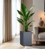 Grey German Polymer Square Planter Cubo Tall 24 Inch
