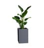 Grey German Polymer Square Planter Cubo Tall 24 Inch