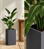 Grey German Polymer Square Planter Cubo Tall 24 Inch