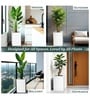 White German Polymer Square Planter Cubo Tall 24 Inch