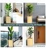Beige German Polymer Square Planter Cubo Tall 30 Inch