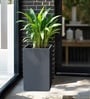Grey German Polymer Square Planter Cubo Tall 30 Inch