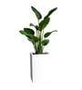 White German Polymer Square Planter Cubo Tall 30 Inch