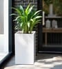 White German Polymer Square Planter Cubo Tall 30 Inch