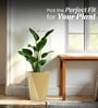 Beige German Polymer Diamond Shape Planter Dmd 18 Inch