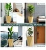 Beige German Polymer Diamond Shape Planter Dmd 18 Inch