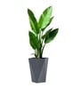 Grey German Polymer Diamond Shape Planter Dmd 18 Inch