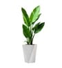 Marble White German Polymer Diamond Shape Planter Dmd 18 Inch