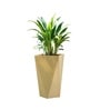 Beige German Polymer Diamond Shape Planter Dmd 24 Inch