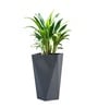 Grey German Polymer Diamond Shape Planter Dmd 24 Inch