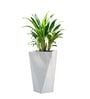 White German Polymer Diamond Shape Planter Dmd 24 Inch