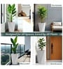 Marble White German Polymer Diamond Shape Planter Dmd 30 Inch