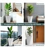 White German Polymer Diamond Shape Planter Dmd 30 Inch