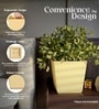 Beige German Polymer Square Planter Gk 10 Inch