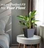 Grey German Polymer Square Planter Gk 10 Inch