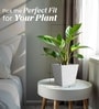 Marble White German Polymer Square Planter Gk 10 Inch