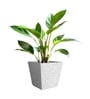 Marble White German Polymer Square Planter Gk 10 Inch