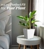 White German Polymer Square Planter Gk 10 Inch
