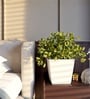 White German Polymer Square Planter Gk 10 Inch